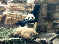 -石家庄市动物园