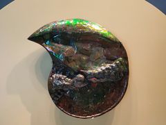 -湖南省地质博物馆