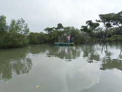 -东寨港红树林旅游区