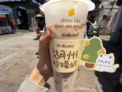 -猫的魔法密林(衣裳街店)
