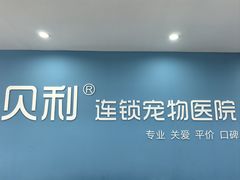 -贝利宠物医院·骨科·眼科·肿瘤转诊中心(南坪诊疗中心)