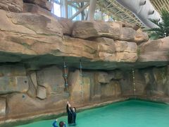 -杭州开元森泊度假乐园