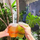 创意川菜｜锤子菜