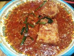 -柴窝堡22号辣子鸡·传承新疆菜