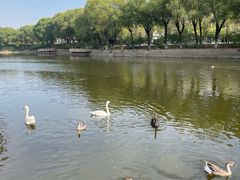 -石家庄市动物园