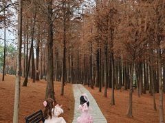 -佛冈森波拉度假区