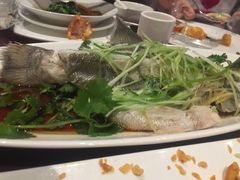 清蒸青斑-鱼乐轩海鲜专门店