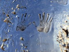 -演武大桥观景平台