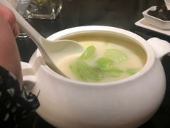 松茸排骨汤-渝半城经典川粤菜(重庆天地店)