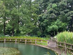 -成都市活水公园