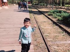 -永定河休闲森林公园