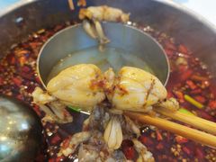 -蛙两只美蛙鱼头火锅(恒茂店)