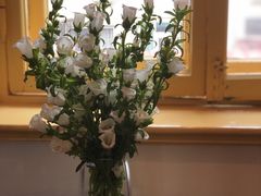 -春风十里咖啡馆