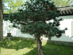 -杭州植物园