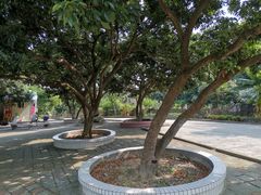 -凤凰山公园-龙王古庙