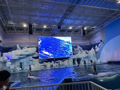 -福州罗源湾海洋世界旅游区