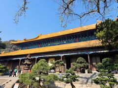 -普陀山风景名胜区-法雨禅寺