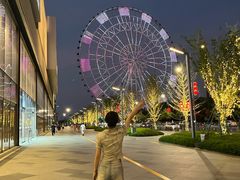 -南昌之星摩天轮