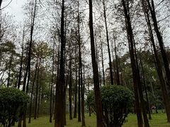 -海珠湖公园