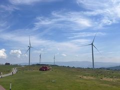 -龙里油画大草原旅游区