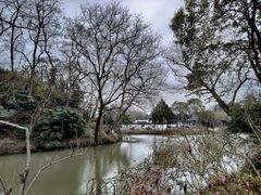 -盆景园(扬州大运河文化旅游度假区)
