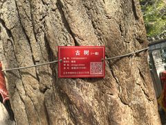 -潭柘寺景区