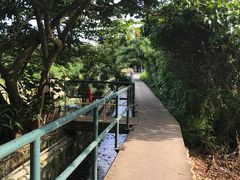 -南丫岛