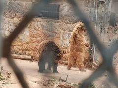 -昆明动物园