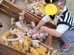 -中国天府农业博览园