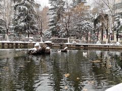 -陕西师范大学(雁塔校区)