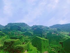 -枸杞岛