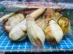 象牙蚌-三亚湾水产综合交易市场