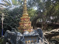 -独树成林