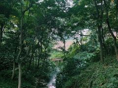 -洪霞餐馆