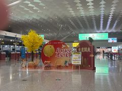 -郑州新郑国际机场-T2航站楼