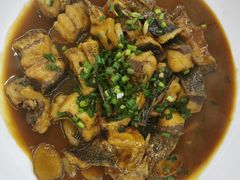 -全乐鱼馆·淳牌有机鱼直营店