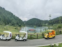 -武陵山森林公园