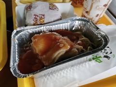 -广州长隆飞鸟乐园