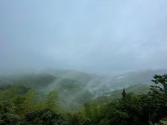 -四明山国家森林公园