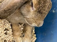 -昆明大悦城未来动物城(螺蛳湾中心店)