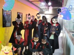 -谜盒子奇幻密室(南屏店)