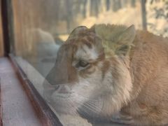 -杭州野生动物世界