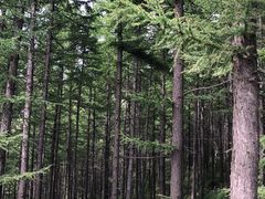 -驼梁风景区