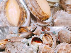 鲍鱼拼海螺-船梆煮•蒸汽海鲜·炉火烤肉(五四广场店)