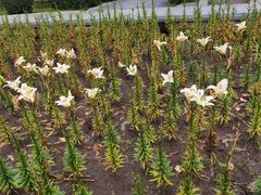 -长春公园(普阳街道)