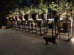 -静颐茶馆·素食(龙华店)
