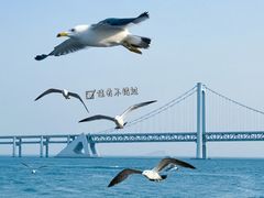 -长岛南北长山旅游景区