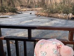 -济南野生动物世界