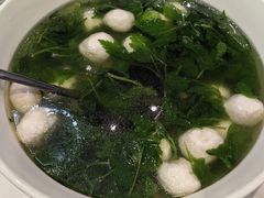 -丁老爷子苏香圆