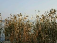 -上海市保健医疗中心(华东疗养院)